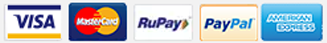 Payments Secure